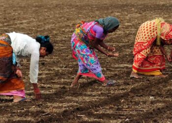 Can India Steer Trump’s Agri Tariffs To Its Advantage