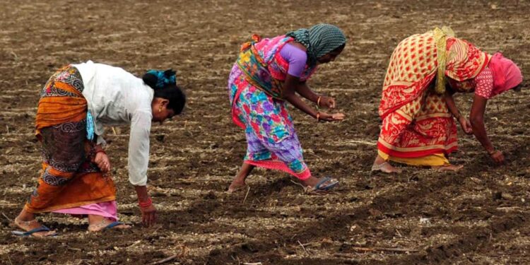 Can India Steer Trump’s Agri Tariffs To Its Advantage