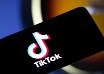 TikTok Remains Banned in India, Clarifies Govt on Website Accessibility Buzz