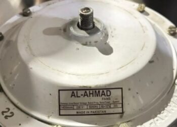 Fan