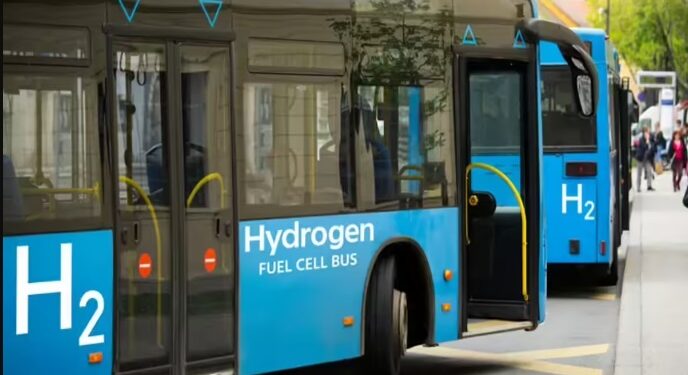 hydrogen buses