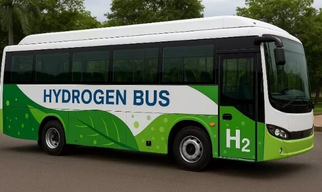 Hydrogen buses