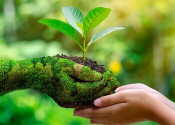 environmental protection