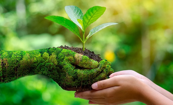 environmental protection