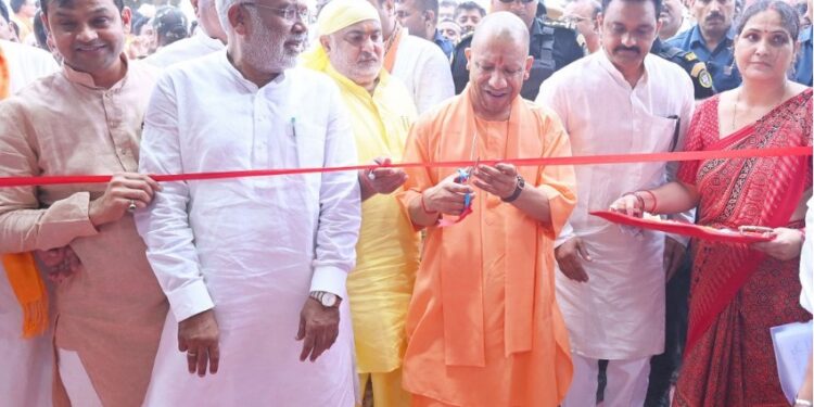 yogi