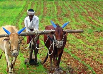 kisan