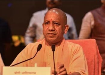 yogi government
