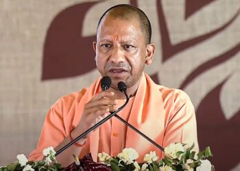 yogi government
