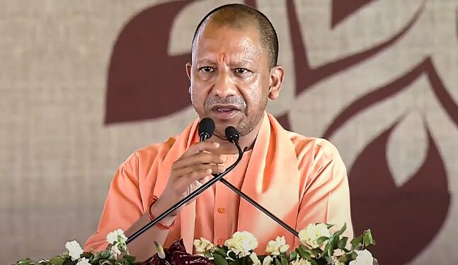 yogi government