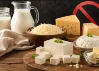 एनालॉग डेयरी प्रोडक्ट्स