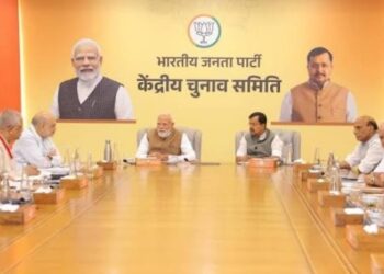 bjp parliamentary board