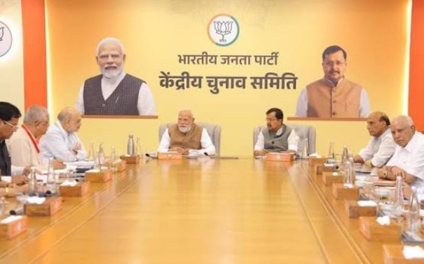 bjp parliamentary board