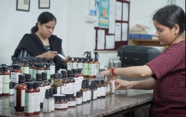 मुख्यमंत्री युवा उद्यमी योजना