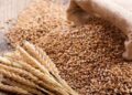 wheat export