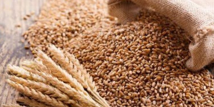 wheat export