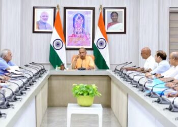 yogi cabinet