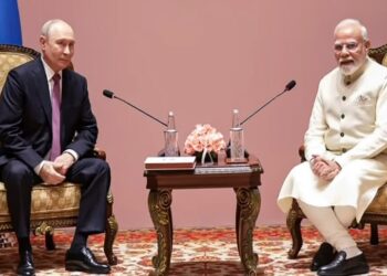 putin india brics visit
