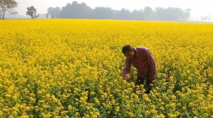 Farmers